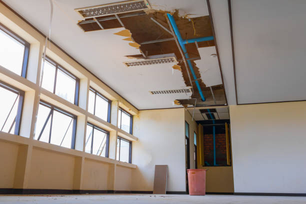 Best Water damage restoration services  in Barberton, WA