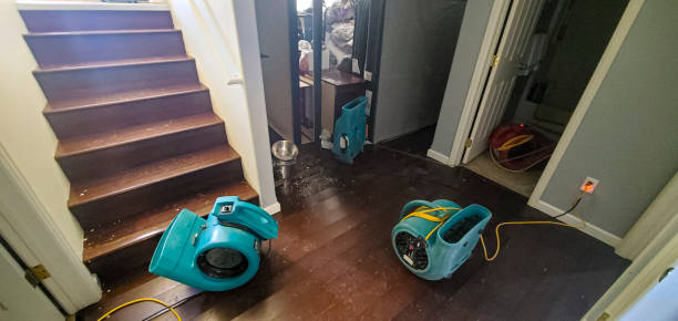 Best Flooded house restoration  in Barberton, WA