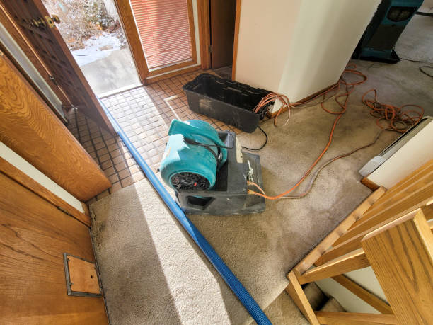 Best Residential water damage restoration  in Barberton, WA