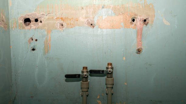 Best Emergency water damage restoration  in Barberton, WA